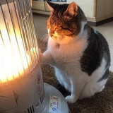 瓦迪
