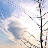 梨涡窝