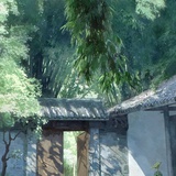 绿谷
