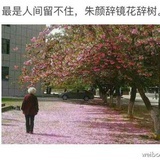 大橙子