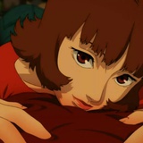 万年不变的瓷槿