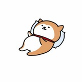 用舍行藏