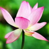 涂涂