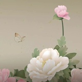享受特别