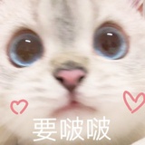 昭昭