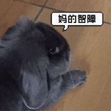 🐻༒无༙᷃敌༙᷃༗