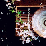沈木织