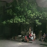 三毛的月亮