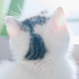 晴天
