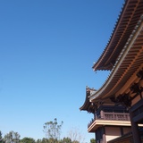 SC 123-