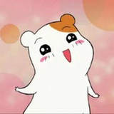 小Q哒