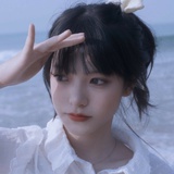 迷你仙