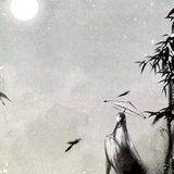 阿狸与朵朵