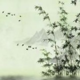 木火通明5