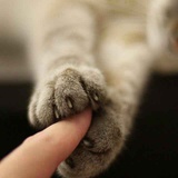 欣欣