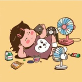小葵