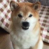 可燃冰