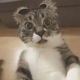 王明明