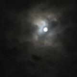 小隐于野