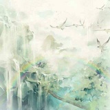 纳兰青轩