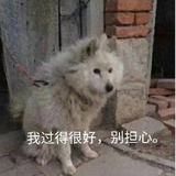 无语