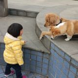 S大萍