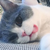 全都是特效