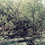 晓宇