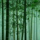 小石子