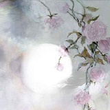 柚子云