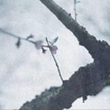 无恙。
