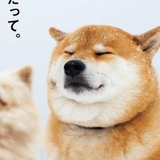 闷闷