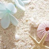 夏
