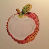 一枚荔枝