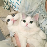 生生辰辰