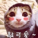 敲牛敲可爱