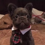 回不去到不了