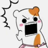 桶子