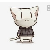 猪猪🐱