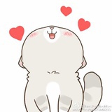 起司猫
