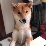 千寻