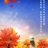 菲菲