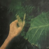 驩虞