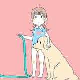 slipy