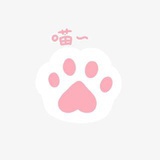 闲逛的猫