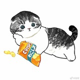 乐薇