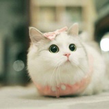 myq
