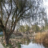 春天里