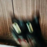 二三五四