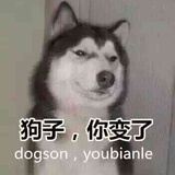 滑稽的路人戊